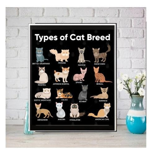 types of cat breeds poster . cat-poster , tabby Cat Wall Art - tabby Cat Print -tabby Cat Artwork - Home Decor