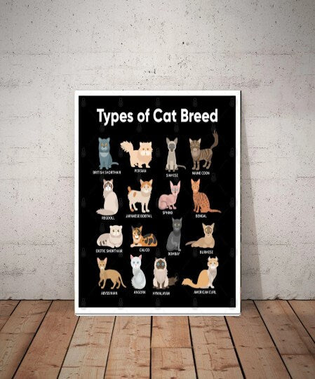 types of cat breeds poster . cat-poster , tabby Cat Wall Art - tabby Cat Print -tabby Cat Artwork - Home Decor