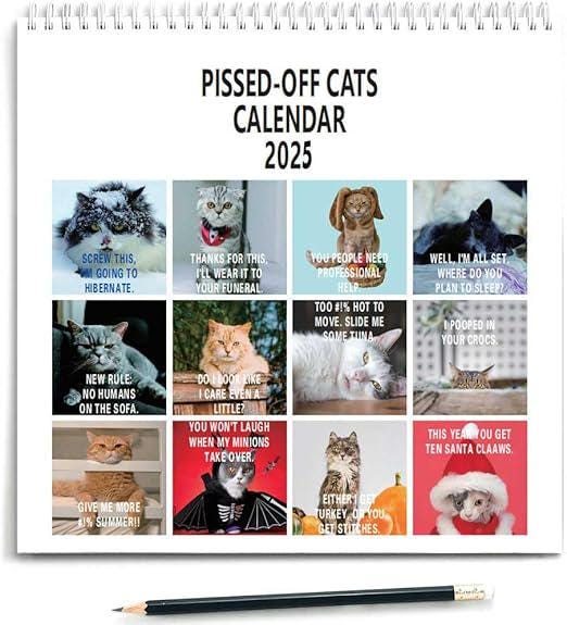 2025Wall Calendar, cat calander funny , Wall Planner, Home And Office Decor, Monthly Calender,gitft for cat lovers