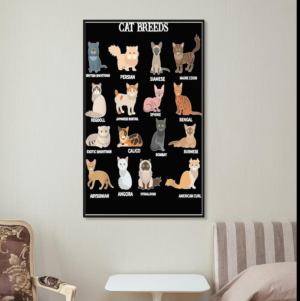 cat breeds which are you  poster .tabby cat-poster ,black Cat Wall Art -black Cat Print -black Cat Artwork - Home Decor