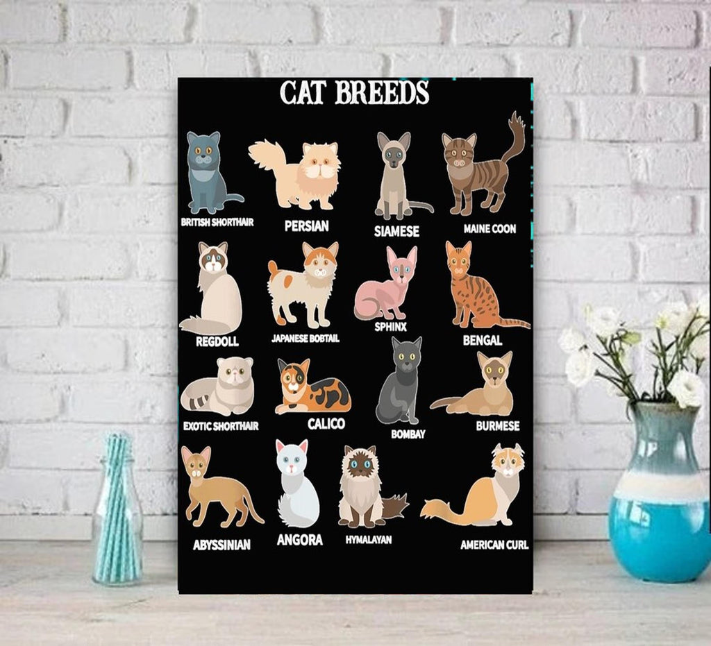 cat breeds which are you  poster .tabby cat-poster ,black Cat Wall Art -black Cat Print -black Cat Artwork - Home Decor