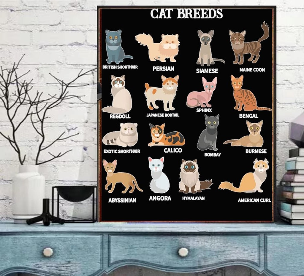 cat breeds which are you  poster .tabby cat-poster ,black Cat Wall Art -black Cat Print -black Cat Artwork - Home Decor