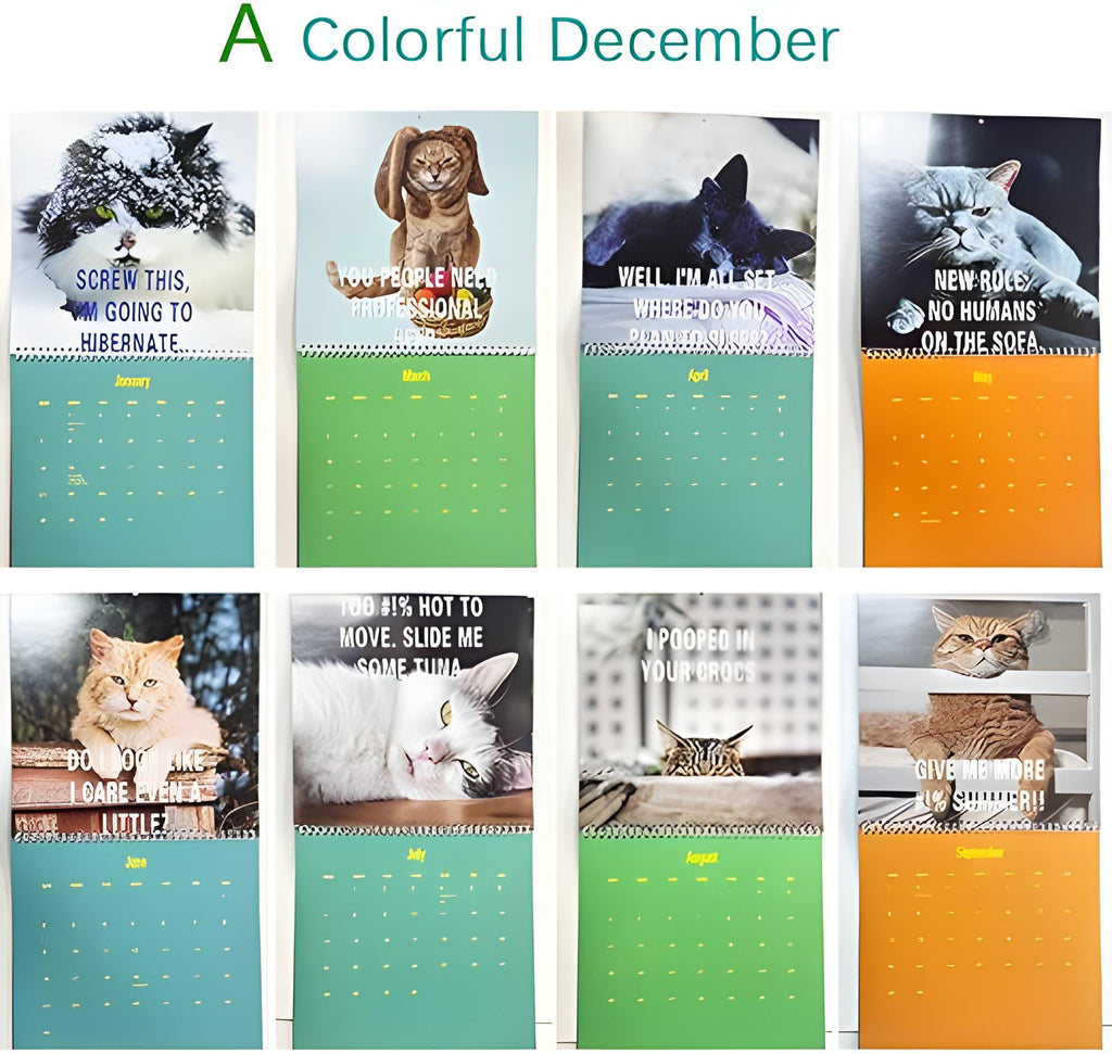 2025Wall Calendar, cat calander funny , Wall Planner, Home And Office Decor, Monthly Calender,gitft for cat lovers