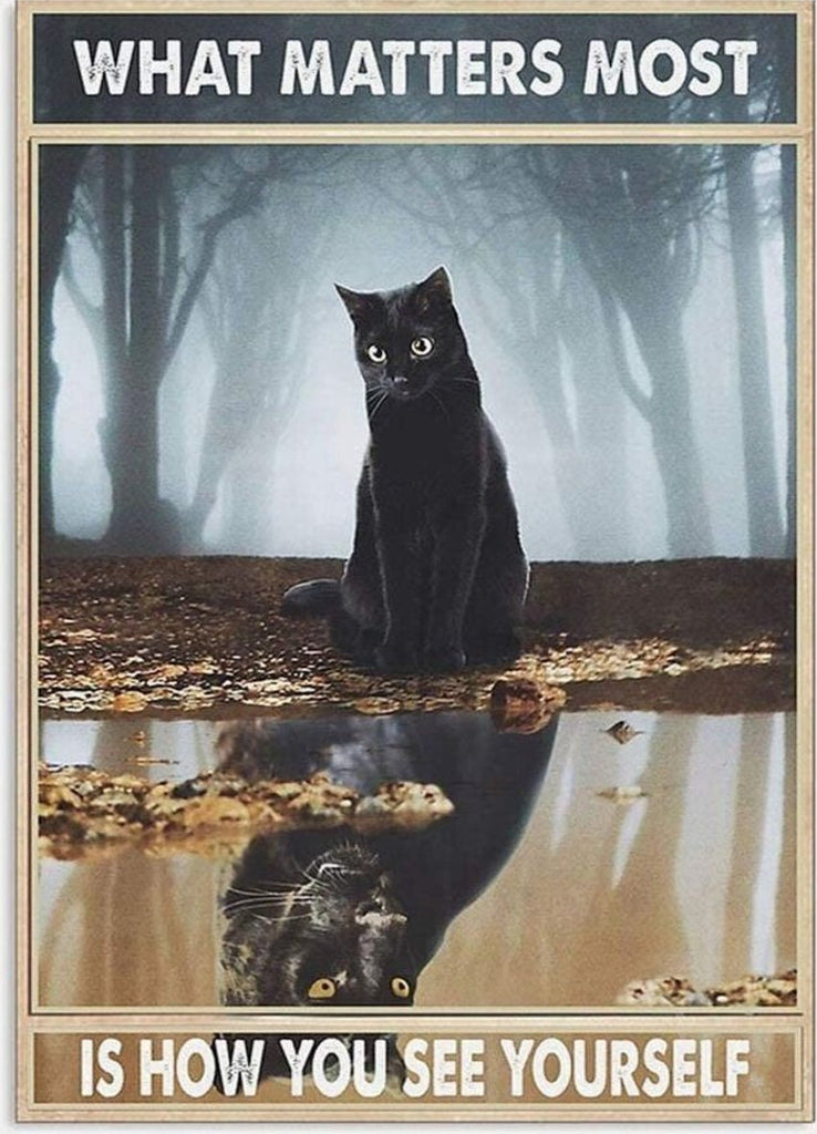 what matters most is how you see yourself , cat-poster , Black Cat Wall Art - Black Cat Print -Black Cat Artwork - Home Decor