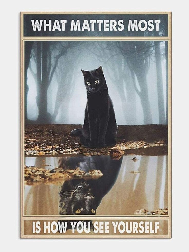 what matters most is how you see yourself , cat-poster , Black Cat Wall Art - Black Cat Print -Black Cat Artwork - Home Decor