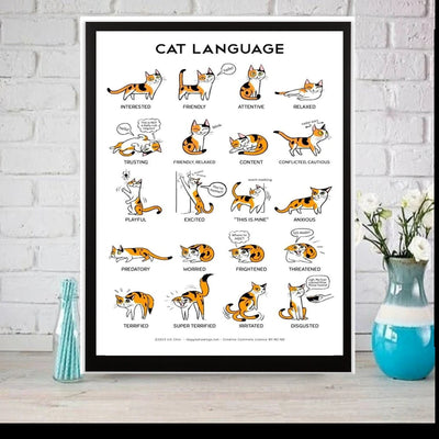 cat language  cat-poster, Black Cat Wall Art  Black Cat Print -Black Cat Artwork - Home Decor