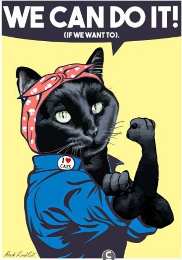 we can do  it poster , cat-poster, Black Cat Wall Art  Black Cat Print -Black Cat Artwork - Home Decor